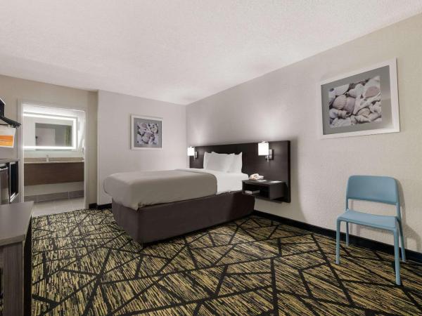 Quality Inn Orange Park Jacksonville : photo 2 de la chambre chambre double pour personnes à mobilité réduite - non-fumeurs