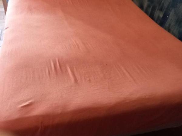 Hostal Bravo Vallarta : photo 1 de la chambre chambre double Économique