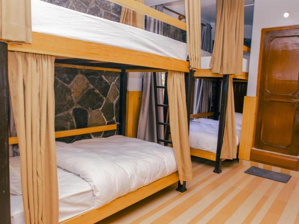 Roamers Inn - Hostel : photo 4 de la chambre dortoir mixte de 6 lits