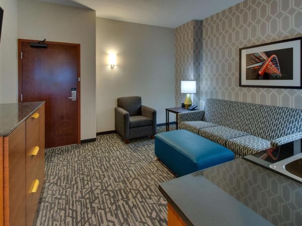 Drury Plaza Hotel Nashville Downtown : photo 3 de la chambre suite deluxe avec lit king-size
