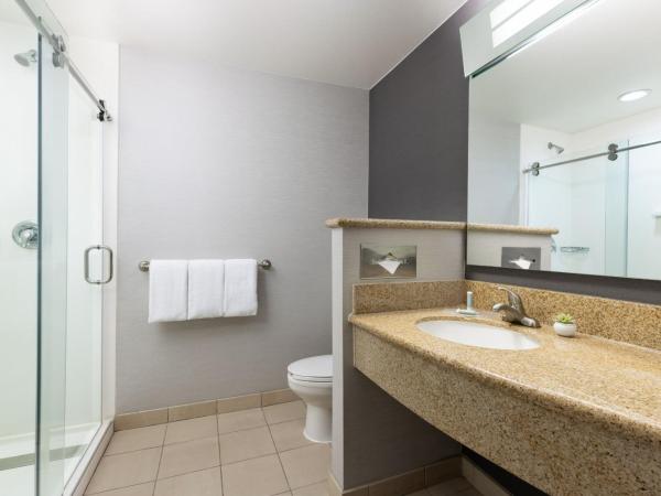 Courtyard By Marriott Las Vegas Stadium Area : photo 4 de la chambre chambre lit king-size avec canapé-lit