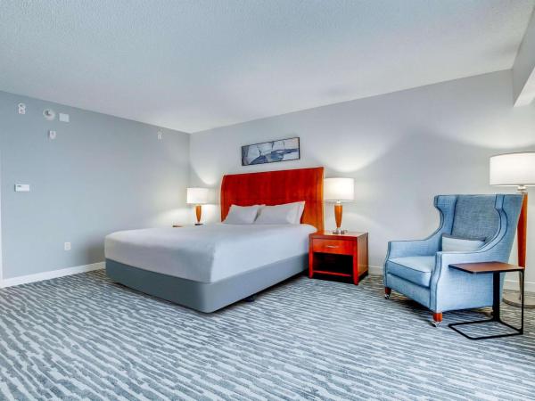 Hilton Garden Inn Louisville-Northeast : photo 4 de la chambre chambre lit king-size avec baignoire - accessible aux personnes à mobilité réduite et adaptée aux personnes malentendantes