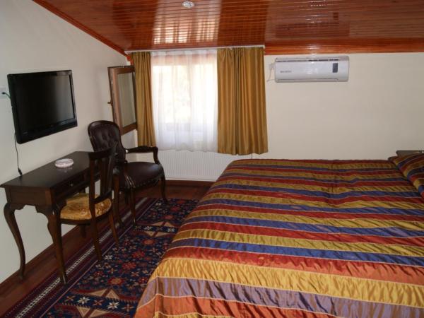 Yeşilköy Airport Hotel : photo 4 de la chambre chambre simple standard