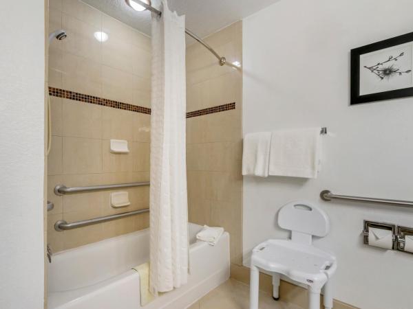 Country Inn & Suites by Radisson, Tampa Airport North, FL : photo 2 de la chambre chambre lit king-size pour personnes à mobilité réduite - non-fumeurs