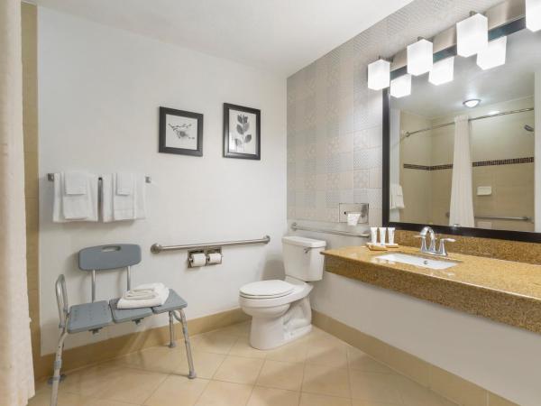 Country Inn & Suites by Radisson, Tampa Airport North, FL : photo 2 de la chambre chambre 2 lits queen-size - accessible aux personnes à mobilité réduite - non-fumeurs