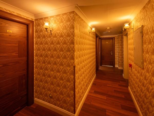 Golden Dream Otel : photo 5 de la chambre chambre double deluxe