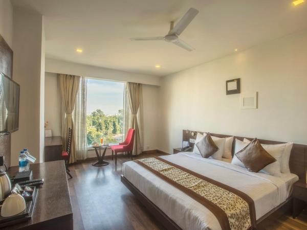 Vesta Grand Central Udaipur : photo 1 de la chambre chambre deluxe double ou lits jumeaux