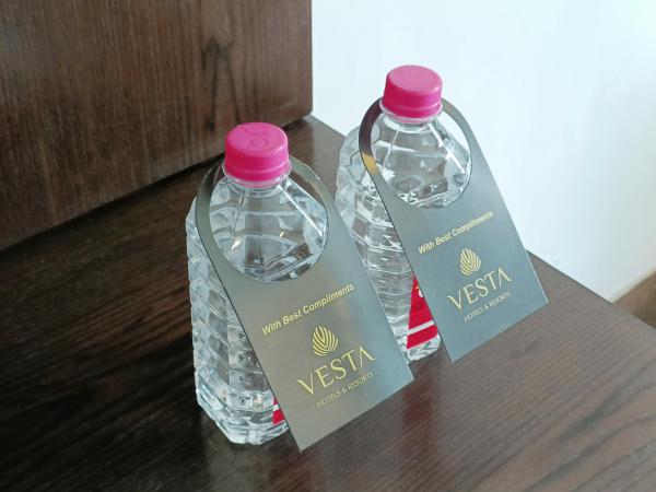 Vesta Grand Central Udaipur : photo 10 de la chambre chambre deluxe double ou lits jumeaux