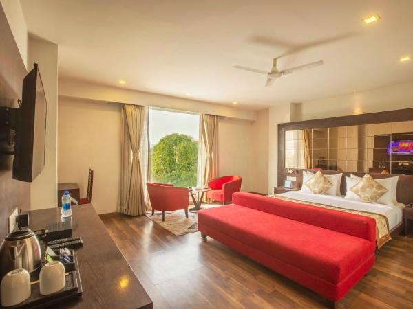 Vesta Grand Central Udaipur : photo 1 de la chambre suite - vue sur ville