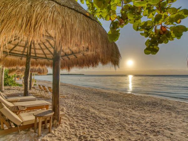 Tulum Luxury Collection : photo 5 de la chambre bungalow - côté plage