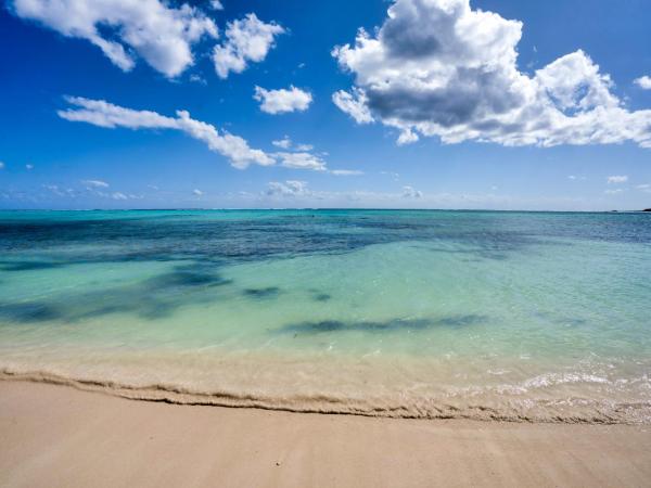 Tulum Luxury Collection : photo 6 de la chambre bungalow - côté plage