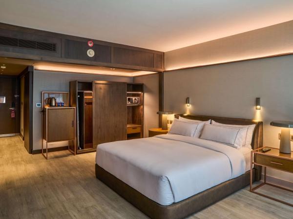 Hilton Buenos Aires : photo 2 de la chambre chambre lit queen-size de luxe - accessible aux personnes à mobilité réduite