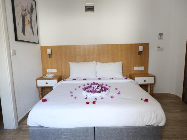 Eden Hotel : photo 4 de la chambre chambre double ou lits jumeaux standard