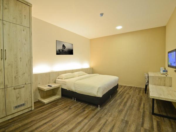 De Parkview Hotel : photo 3 de la chambre standard king size room