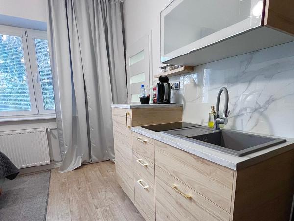 Apartamenty Pokoje Willa Bielany : photo 10 de la chambre appartement - rez-de-chaussée