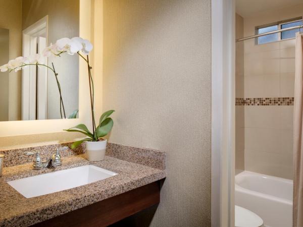 Bahia Resort Hotel : photo 3 de la chambre bay front doubles