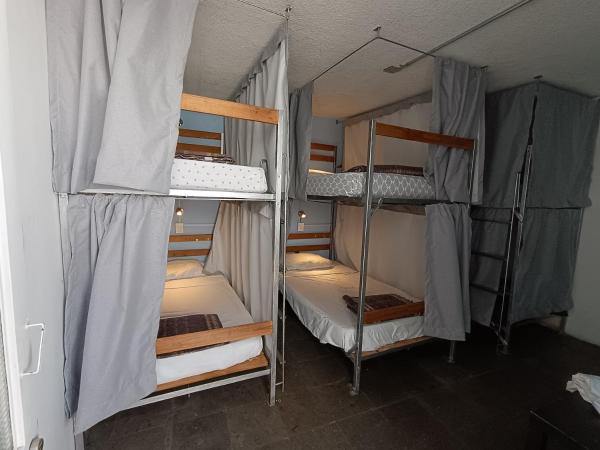 Monkey Safari Hostel : photo 1 de la chambre lit dans dortoir mixte de 6 lits