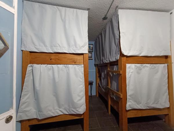 Monkey Safari Hostel : photo 2 de la chambre lit dans dortoir pour femmes de 4 lits