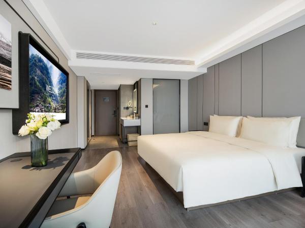 Atour Hotel Chengdu Wuhou West Intelligent Valley : photo 1 de la chambre jimu double room