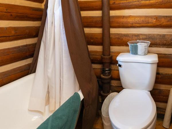 Storm Mountain Lodge & Cabins : photo 10 de la chambre chambre lit queen-size avec balcon