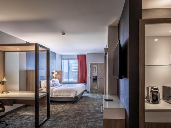 SpringHill Suites Dallas Central Expressway : photo 4 de la chambre suite lit king-size avec lit gigogne