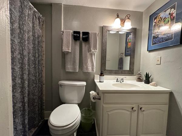 The Dragonfly Treme Guest House : photo 7 de la chambre chambre double deluxe