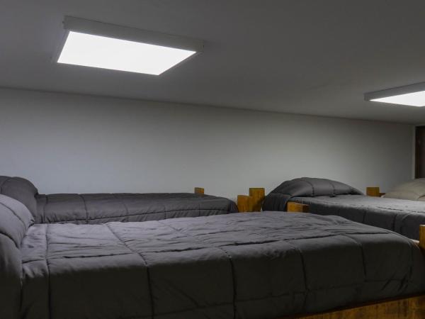 Hostel Casa Roble : photo 4 de la chambre lit dans dortoir mixte de 8 lits