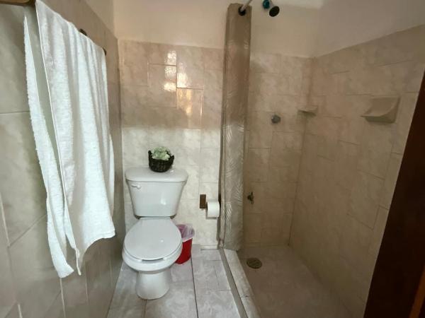 Hotel Bello Caribe : photo 1 de la chambre chambre lits jumeaux