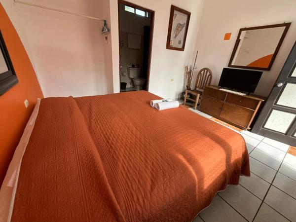 Hotel Bello Caribe : photo 7 de la chambre chambre double