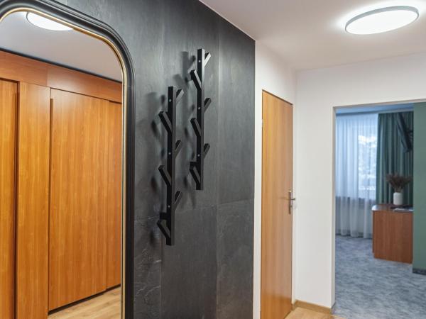 Zespół Dolina Białego - Pensjonat Biały Potok : photo 5 de la chambre appartement haut de gamme