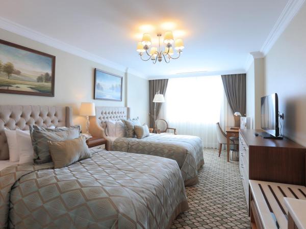 Latanya Hotel Ankara : photo 3 de la chambre chambre deluxe double ou lits jumeaux