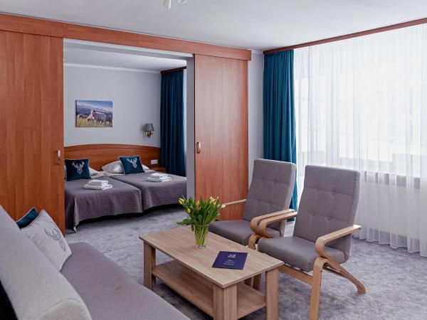 Zespół Dolina Białego - Pensjonat Biały Potok : photo 4 de la chambre appartement