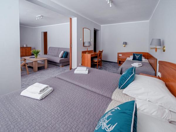 Zespół Dolina Białego - Pensjonat Biały Potok : photo 6 de la chambre appartement