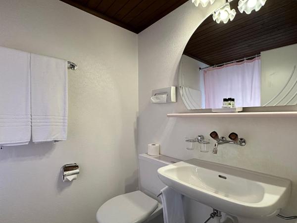 Hotel Chalet Swiss : photo 5 de la chambre chambre lits jumeaux standard