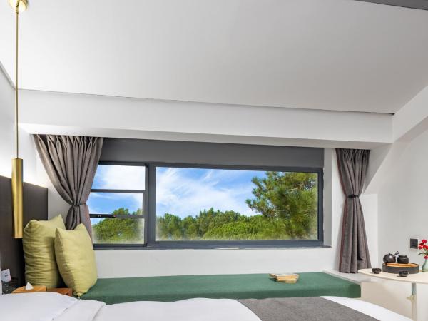 Trip Voicer Chengdu Wide and Narrow Alley : photo 4 de la chambre gentle breeze twin room