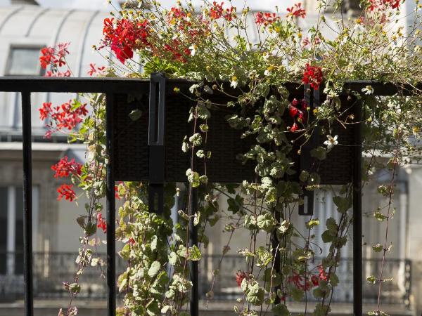 New Orient Hotel : photo 9 de la chambre chambre double confort avec balcon