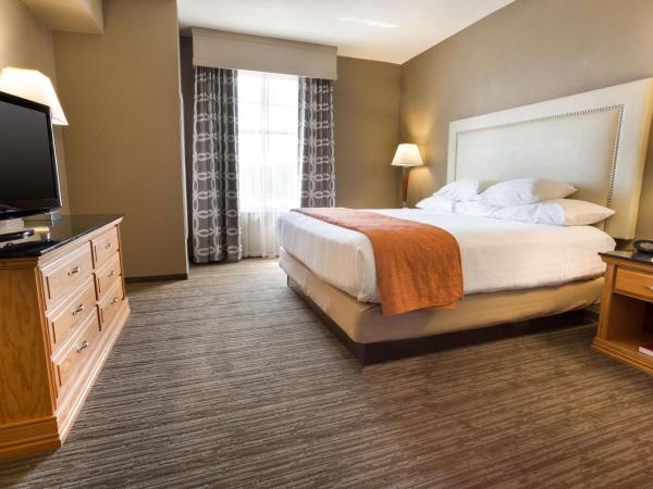 Drury Inn & Suites San Antonio North Stone Oak : photo 4 de la chambre suite lit king-size avec canapé-lit