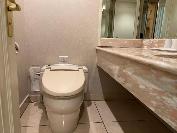 Hotel Springs Makuhari : photo 5 de la chambre chambre lits jumeaux exécutive - non-fumeurs