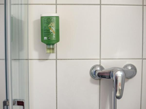 Hotel Strasbourg - Montagne Verte & Restaurant Louisiane : photo 2 de la chambre chambre double - accessible aux personnes à mobilité réduite