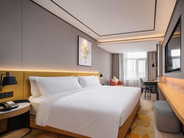 Hilton Garden Inn Beijing Temple Of Heaven East Gate Station : photo 1 de la chambre chambre lit king-size