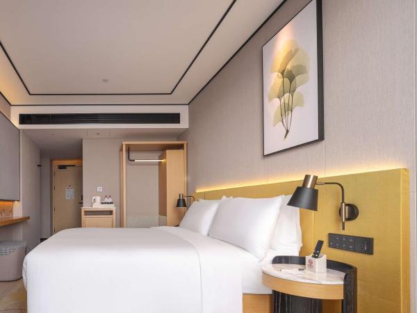 Hilton Garden Inn Beijing Temple Of Heaven East Gate Station : photo 2 de la chambre chambre lit king-size