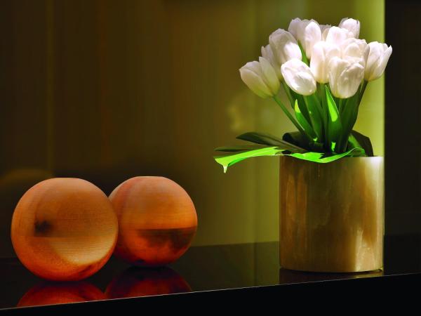 Armani Hotel Dubai, Burj Khalifa : photo 2 de la chambre suite fontaine armani