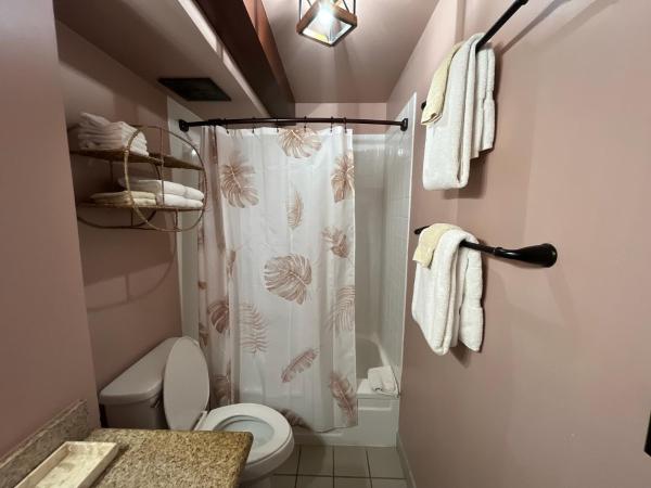 Pacific Monarch : photo 9 de la chambre studio avec balcon