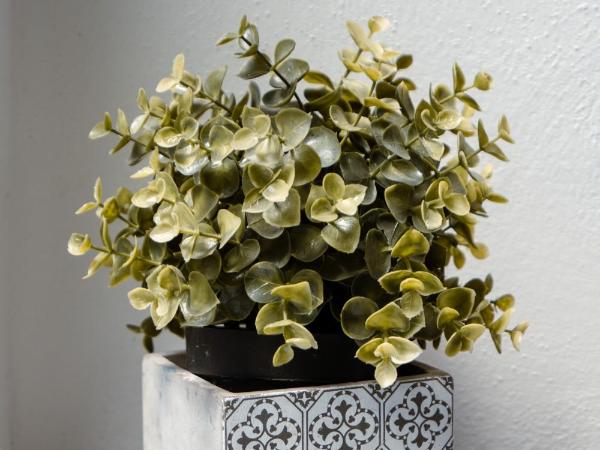 The Railway 74 : photo 9 de la chambre chambre deluxe double ou lits jumeaux