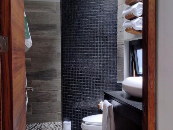 El Callejón Hotel Boutique : photo 2 de la chambre suite junior avec balcon