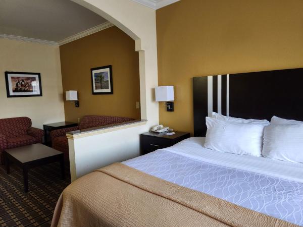Days Inn & Suites by Wyndham Sam Houston Tollway : photo 3 de la chambre suite lit king-size – non-fumeurs
