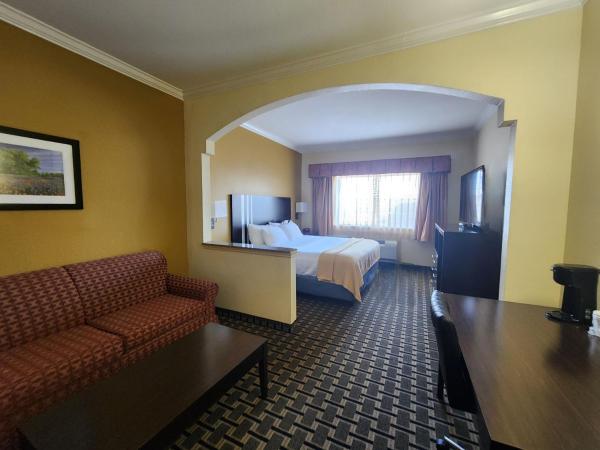 Days Inn & Suites by Wyndham Sam Houston Tollway : photo 10 de la chambre suite lit king-size – non-fumeurs
