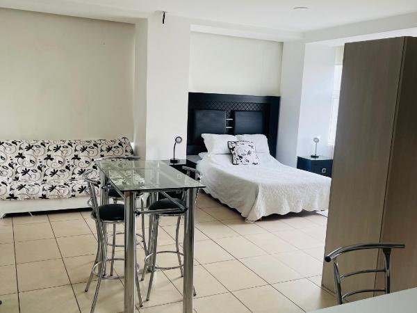 Carso Alameda Premium Apartments : photo 1 de la chambre appartement supérieur