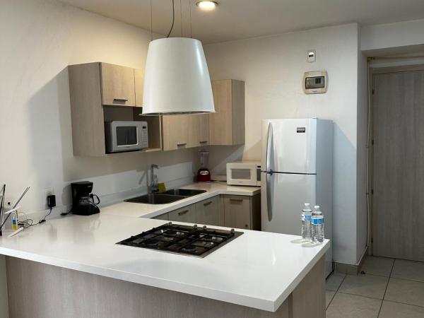 Carso Alameda Premium Apartments : photo 6 de la chambre appartement supérieur