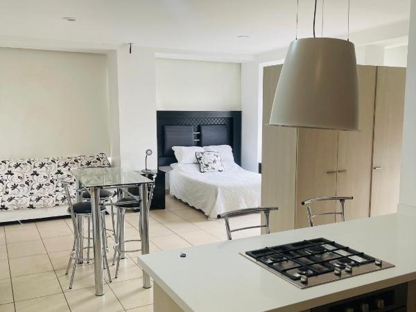 Carso Alameda Premium Apartments : photo 7 de la chambre appartement supérieur